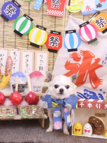 20240721マロンくん